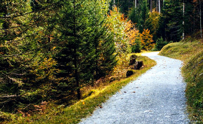 Die schönsten Wanderwege in Thüringen