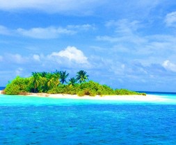 Urlaub an Traumstränden unter Palmen - daran denkt wohl fast jeder, wenn er das Urlaubsziel Karibik hört. Immerhin 1,4% der Thüringer nehmen die lange Reise regelmäßig in Kauf.