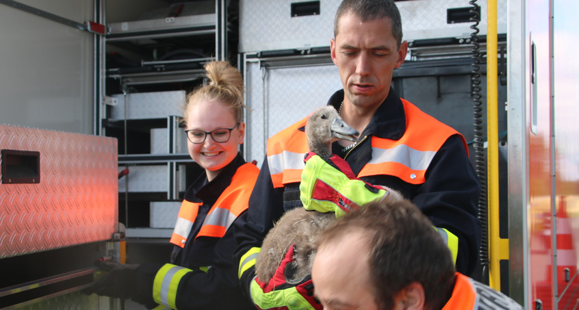 Autobahnpolizei und Feuerwehr Schleiz retten Schwanenfamilie