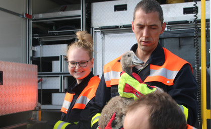 Autobahnpolizei und Feuerwehr Schleiz retten Schwanenfamilie