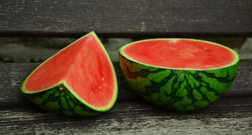 Ostthüringer Obstgut testet Anbau von Wassermelonen 