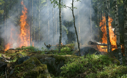 Waldbrand noch nicht unter Kontrolle - Flammen greifen auf Moor über