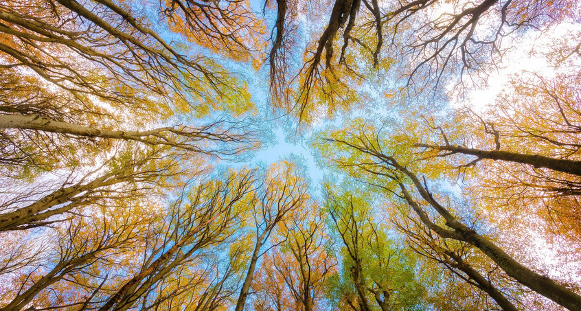 Der Herbst bringt wechselhaftes Wetter nach Thüringen