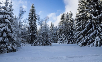 Bilderbuch-Winter lässt Thüringer Tourismusbranche hoffen 