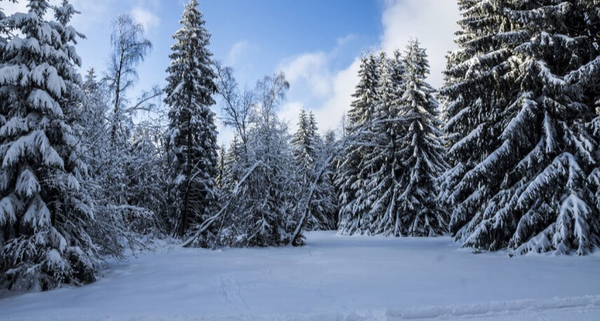 Bilderbuch-Winter lässt Thüringer Tourismusbranche hoffen 