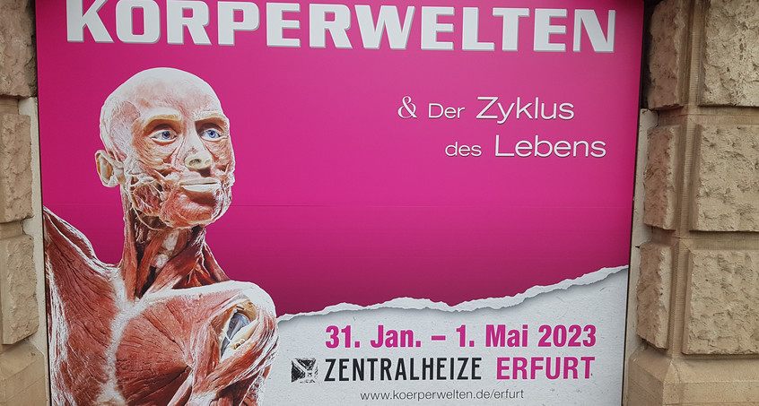  Ausstellung "Körperwelten & Der Zyklus des Lebens" in der Zentralheize eröffnet