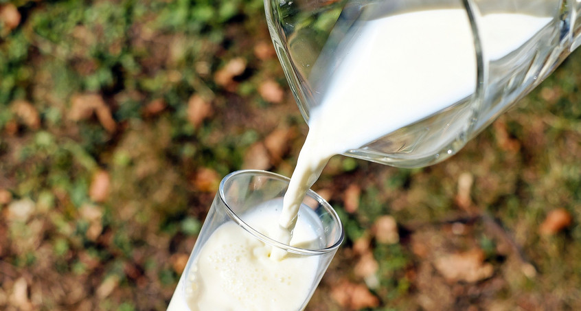 Unbekannte stehlen 3000 Liter Milch