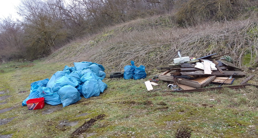 302 Freiwillige sammeln Müll in Eisenach 