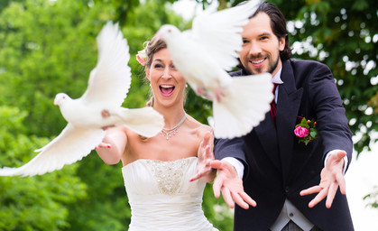 Erfurt prüft Verbot von Tauben an Hochzeiten