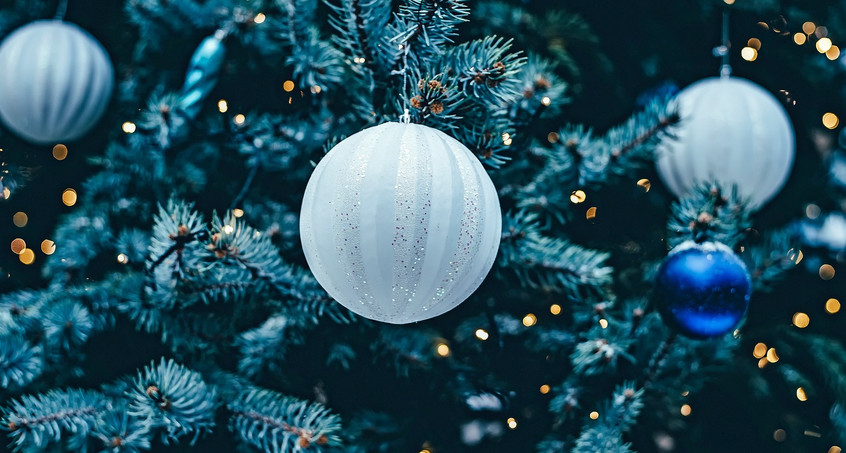Weihnachtsbaumsuche in Apolda gestartet