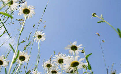 Sommerliche Temperaturen am Wochenende in Thüringen 