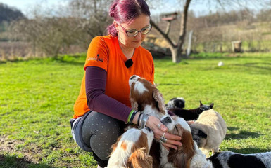 "Wir kämpfen ums Überleben" - Lebenshöfe und Tierheime operieren am Limit