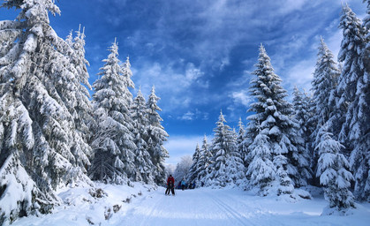 Hoffnung auf eine gute Wintersaison im Thüringer Wald 