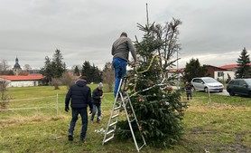 baum-moechenholzhausen-5