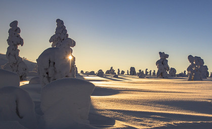 Lust auf Frost statt Frust durch Frost