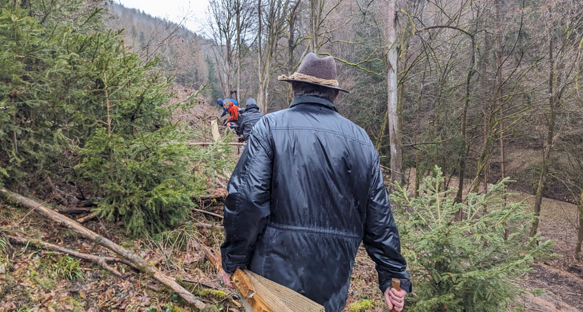 Mit Autofasten Bäume für den Thüringer Wald sammeln