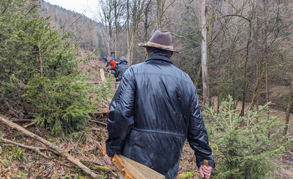 Mit Autofasten Bäume für den Thüringer Wald sammeln