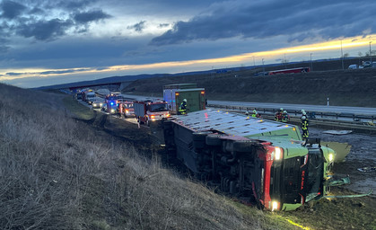 Viehtransporter verunglückt auf A71 - Kühe laufen auf Autobahn 