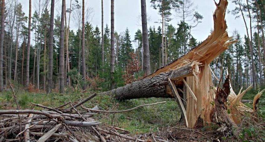 Gewitter richtet Chaos an