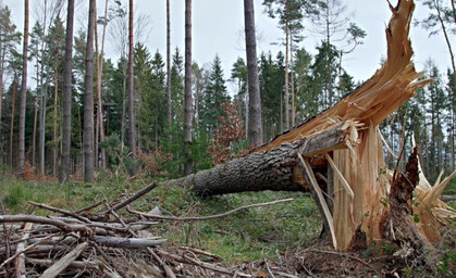 Gewitter richtet Chaos an