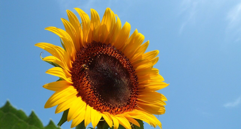 Bombastisches Wetter am Wochenende