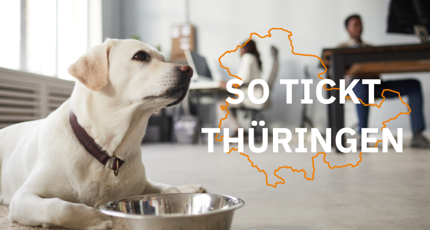 So tickt Thüringen: Tiere auf Arbeit - das Geht!