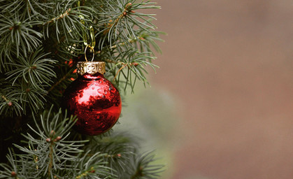 Sömmerda sucht Weihnachtsbäume