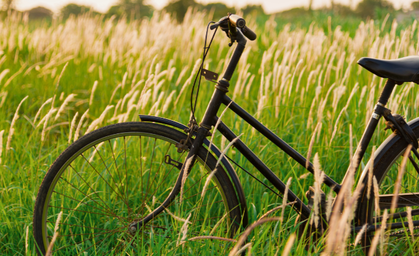 Thüringens beste Radwege - die besten Touren für Sie