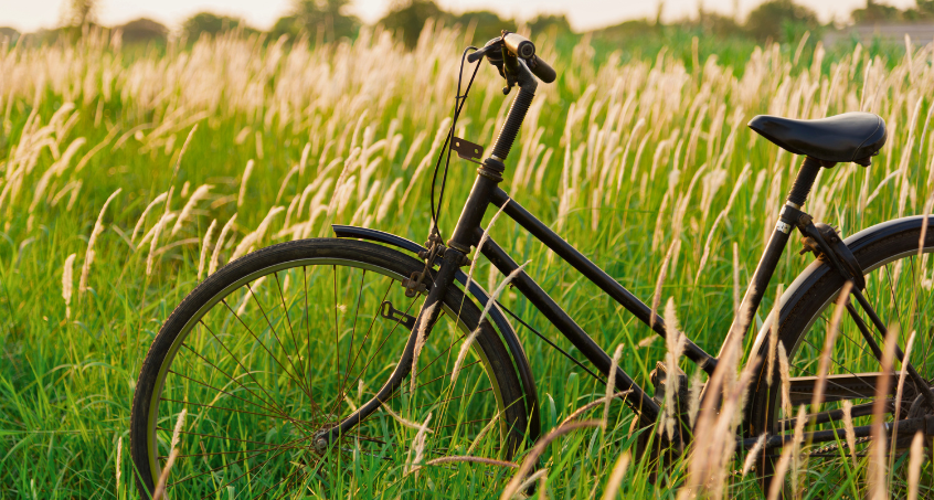 Thüringens beste Radwege - die besten Touren für Sie