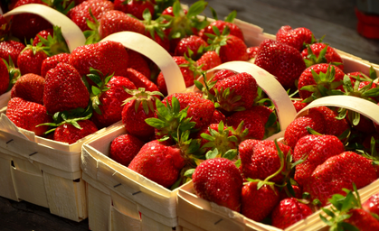 Start der Erdbeersaison: 10 Kuriose Fakten über die Sommerfrucht