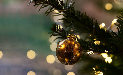 Jena sucht Weihnachtsbaum für Weihnachtsmarkt