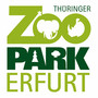 wann-gibts-nachwuchs-im-zoo-erfurt--zoo-erfurt-tiny_c_01