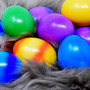 veranstaltungen-am-osterwochenende-easter-eggs-3237786_1280_c_01