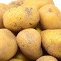 kartoffel-legen-in-heichelheim-potatoes-3165722_1920-855_c_01