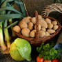 erntedank-thanksgiving-696164_1920_c_01