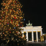 thueringer-weihnachtsbaum-fuer-berlin-berlin-68984_1920_c_01