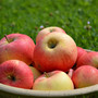 was-ist-fasten-und-wo-kommt-es-her--aepfel-obst_c_01