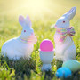 das-osterpardoxon-2019-ostern-osterhase-osterei_c_01