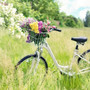 landeswelle-tipp--radrundweg-durch-das-weimarer-land-fahrrad-radtour-fruhling-fruehling_c_1