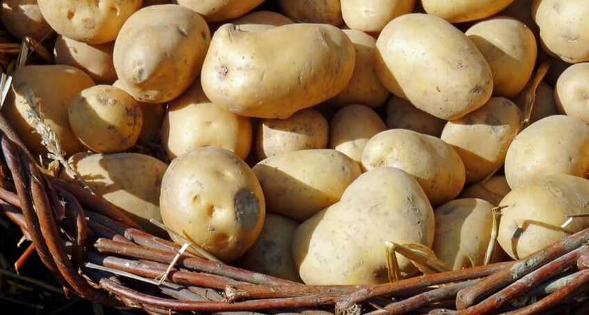 Kartoffelfest in Warza