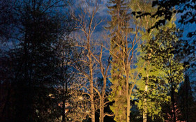 Parkgeflüster im Kurpark Bad Berka