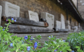 Führung in der Kornmarktkirche und im Klostergarten