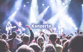 STOPPOK mit Band