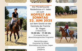 Hoffest auf dem Gestüt an der Hainleite