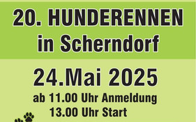 20. Hunderennen 