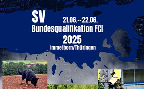 SV Bundesqualifikation Deutscher Schäferhunde