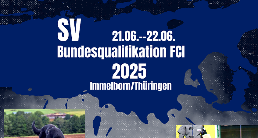 SV Bundesqualifikation Deutscher Schäferhunde