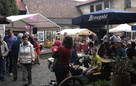 Großer Mühlentag