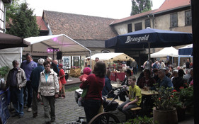 Großer Mühlentag