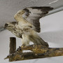 asservatenkammer-erfurt-img_9427-2000_c_01